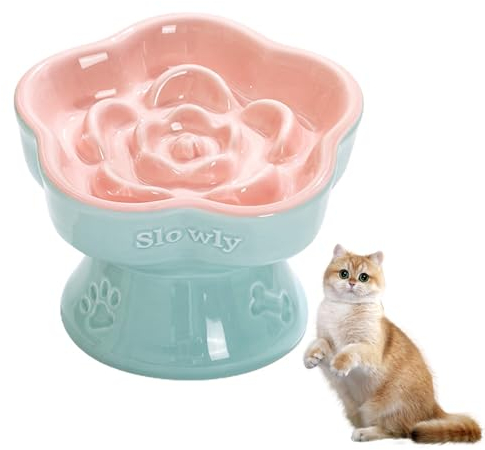 Nchdewui Gamelle en Céramique pour Chats Anti-Glouton et Anti-Vomissements - Réduit Ballonnement (Glacier Blue with Lotus Pink)