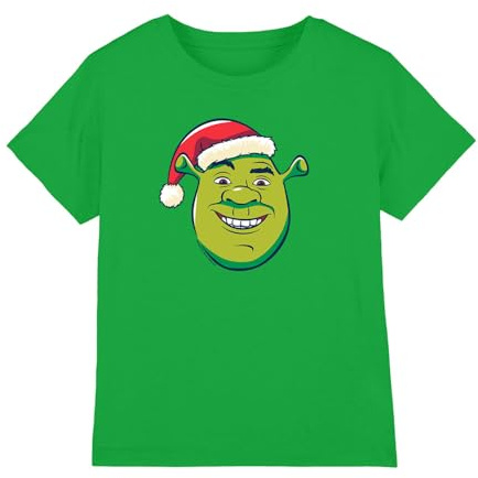 Shrek Santa Hat Kids T Shirt, Kelly Green, 5-6
