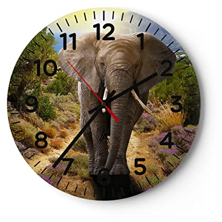 Modern Wanduhr Tiere Afrika Elefanten Spaziergang 40x40cm Rund Groß Wand Uhr Glas Analog Zimmeruhren Küche Büro Wohnzimmer Glasuhr Wall Clock Dekoration Design Wanddekoration Küchenuhr C4AR40x40-2708