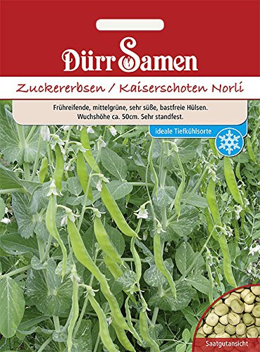Dürr-Samen - Zuckererbsen Norli Saatgut
