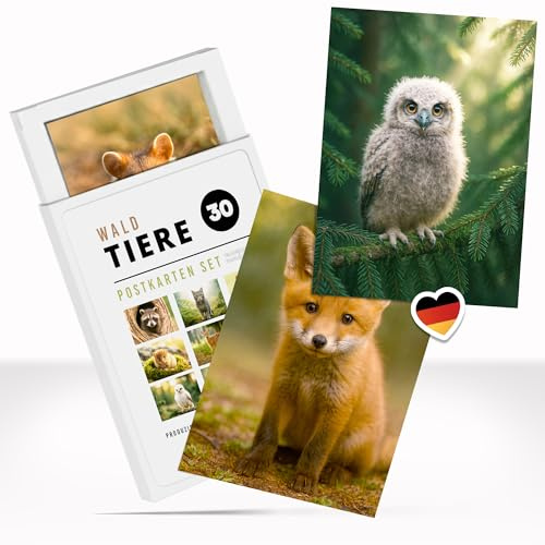 Postkarten Set Wald-Tiere - 30 niedliche Tierpostkarten mit Tieren Natur | für Büro, Freunde, Kinder, als Deko oder Geschenk mit praktischer Box, Tierpostkarten