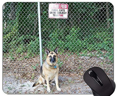 Schäferhund Mousepads und Schäferhund Mouse-Pads Kurzfristiger Geschenk-Bedarf?