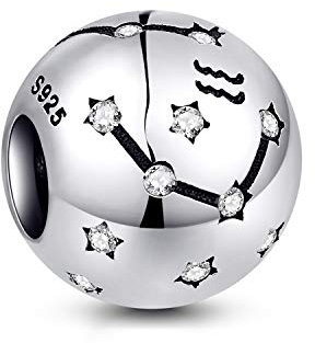 NINGAN die Zwillinge 12 Sternzeichen Geburtstag Anhänger – 925 Sterlingsilber Anhänger für Armband & Halskette – Ideale Geburtsgeschenke für Frauen & Freundinnen