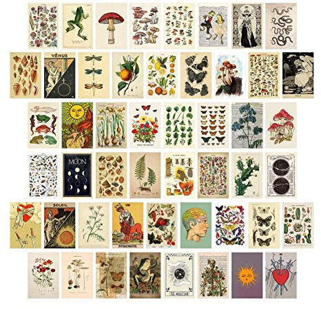 Qusedwey 50 StüCke Vintage Botanisches Tarot ÄSthetische Wand Collage Satz & Fauna Insekten Illustration Kunst Poster Karte