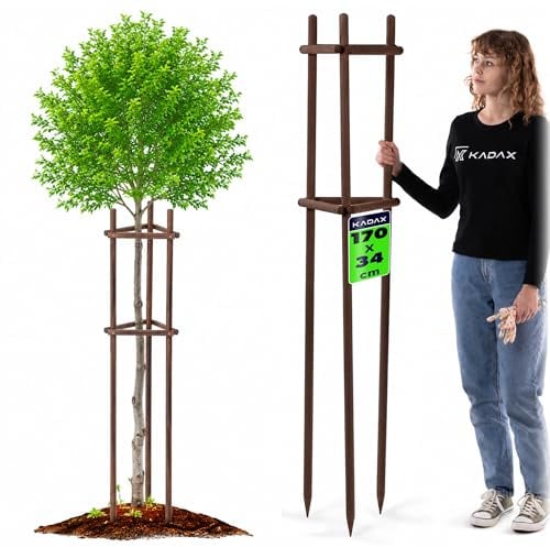 KADAX Support pour arbre de 170 cm en bois robuste pour une fixation sûre des jeunes arbres et arbustes, support de plantes à trois pieds en bois de hêtre pour jardin