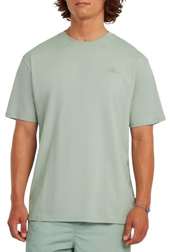 O'Neill Small Logo T-Shirt Herren