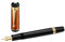 Montblanc Füllfederhalter Friedrich Schiller Limited Edition Fountain Pen f