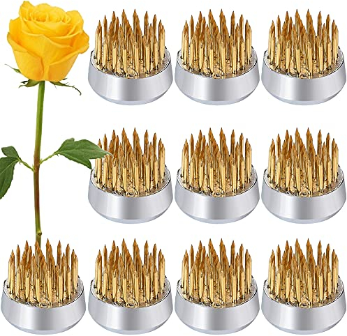 Lot de 10 arrangements de fleurs ronds dorés en forme de grenouille pour arrangement floral, fixation de plantes, décoration de plantes