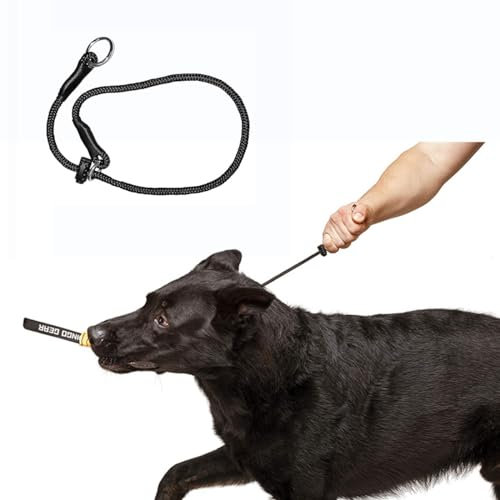 1 pcs Dog Collar Slip Collars for Dogs Training Collars for Dog Training Collar Round Nylon Rope Collars P-Collar No Pull Dog Chain for Small Medium Dogs (M, Black)
