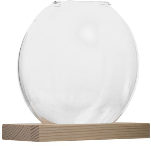 Uonlytech Vase Hydroponique en Verre avec Base en Bois Ronde, Design Élégant et Épuré, Décoration de Bureau ou Rebords de Fenêtre, Supporte la Croissance des Plantes sans Entretien