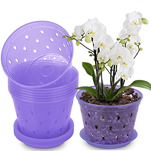 lanccona Orchideentopf, 17 cm, 8 Stück, Orchideentöpfe mit Löchern und Untersetzern, Kunststoff-Orchideen-Pflanzgefäß – Violetter Amethyst