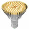 QIANYAN Luz Crecimiento Plantas Interior Blanca CáLida, Luz Plantas Interior Espectro Completo De Luz Solar, 80W Grow Light Bulb, Focos Led Cultivo Interior, PPFD 300 μmol/s/㎡, Lampara Plantas