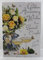 Illustrated Golden Anniversary Karte – (JJ9356) – Special Couple Golden Anniversary – aus der Velvet Range – geprägt mit einer Silberfolie und Flitter-Finish