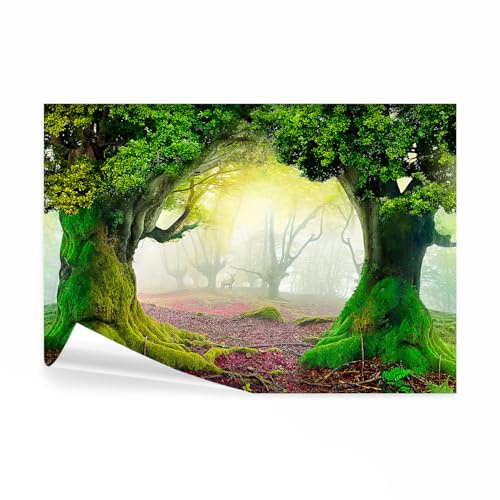decomonkey Fototapete selbstklebend Wald Landschaft, 343x256 cm, XL, Natur | Selbstklebende, Tapeten, Wand, Fototapeten, Tapete, Wandtapete, klebend, Klebefolie