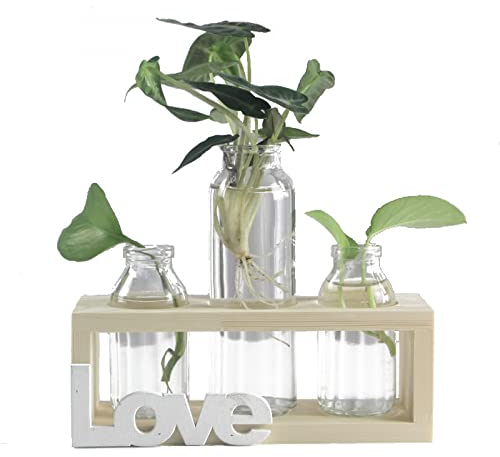 YXSH Pflanzenanzuchtstation Glasflasche Vase Hydrokultur Pflanzen Terrarium Glas Mit Holzständer Für Hochzeit Home Office Garten Tischdekoration Blumenzwiebelvasen