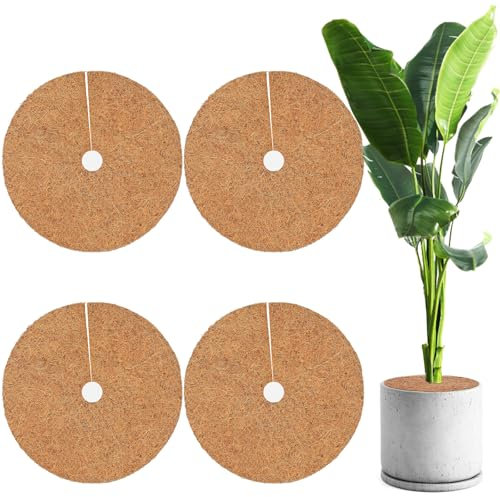 Kokosmatte Winterschutz, 4 Stück 60Cm Kokosmatte Pflanzenschutz, Kokosmatten Für Pflanzen, Winterschutz Kokosmatte, Kokosmatte Frostschutz Eckig für Ihre Pflanzen,Schutz Vor Nässe, Frost