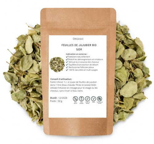 Feuilles de JUJUBIER BIO - SIDR