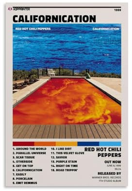 Red Hot Chili Peppers Poster Pop Room Ästhetik, Retro-Leinwand, Wandgemälde, Raumdekoration, Inspirationsposter, Galerie, Wandgemälde, Fächer, Geschenke, Schlafzimmer, Raumdekoration, 30 x 45 cm,