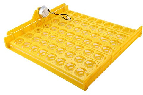 Brutautomat Vollautomatisch, Mini-Brutkasten für 56 Eier Inkubator Brutmaschine Automatisches Eierwendewerkzeug mit Motor für Inkubator