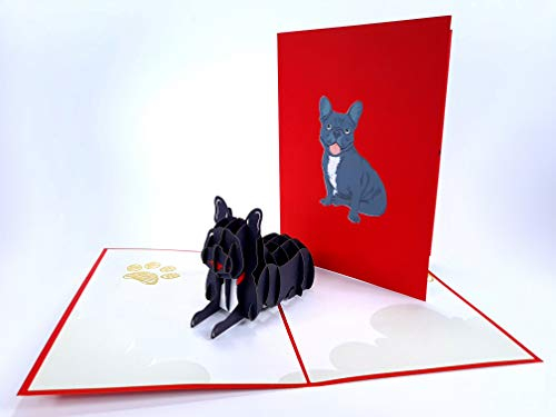 Französische Bulldogge Hund Tier 3D Pop Up Grußkarten Jahrestag Baby Geburtstag Ostern Halloween Muttertag Vatertag Neujahr Erntedankfest Valentinstag Hochzeit Weihnachten