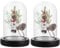 APACALI 2 Stück Glasglocke mit Holzboden, 11cm Dekorative Glashaube, Transparent Glasglocke, Glashaube Glasbox Glas, Glass Dome Cloche mit Boden für Lichter, Deko, Wohnaccessoire