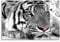 Sinus Art Leinwandbild 120x80cm Künstlerische Fotografie – Weißer Tiger mit grünen Augen