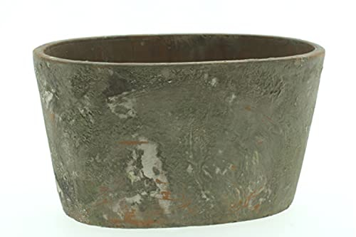 finehomegarden Topf MOOLA Jardiniere Zement Shabby Natur Übertopf Pflanztopf Ø25x14cm H15cm