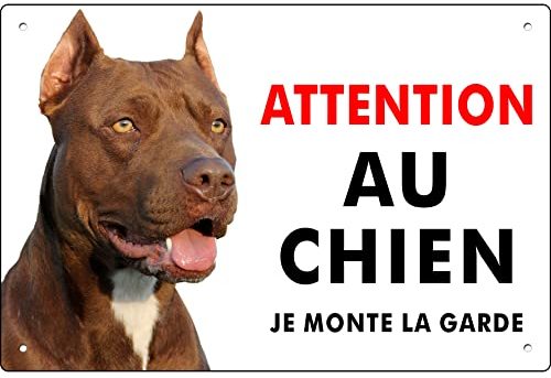 PITBULL Schild Achtung auf den Hund Aluminium 3 mm (Pitbull cm 30 x 20 cm)