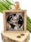 MC-Trend Spardose Travel The World aus Holz mit Glasscheibe – stilvolle Reisekasse für alle Weltenbummler und Reise-Liebhaber(Travel The World)