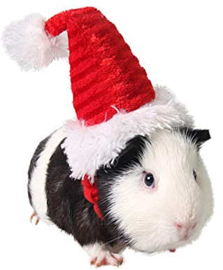Balacoo Meerschweinchen Kostüm - Katze Weihnachtsmütze Haustier Weihnachtsmütze Weihnachtsmann Mütze Kopf Zubehör für Kaninchen Hamster Meerschweinchen Ratten Kätzchen und Kleintiere