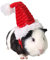 Balacoo Meerschweinchen Kostüm - Katze Weihnachtsmütze Haustier Weihnachtsmütze Weihnachtsmann Mütze Kopf Zubehör für Kaninchen Hamster Meerschweinchen Ratten Kätzchen und Kleintiere
