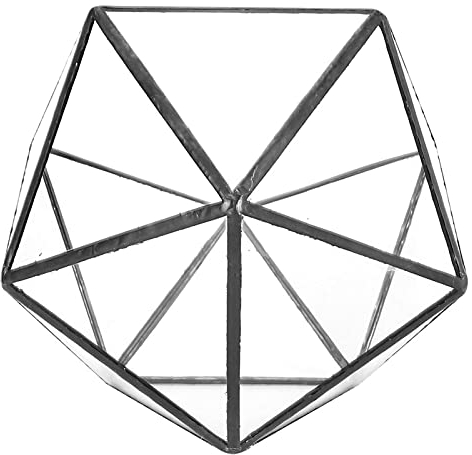 Alvinlite Pflanzenglasterrarium, geometrisches Glasterrarium-Haus-Pflanzgefäß, Glas-Gewächshaus-Terrarium für Indoor-Garten-Dekor, Erstellen Sie Ihre eigene Blume, Farn, Moos-Mittelstück Glas