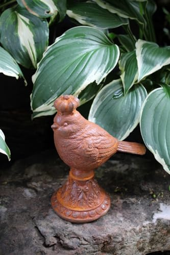 Gwenys Haus Gartenfigur Edelrost Zaunkönig II Höhe ca. 17 cm
