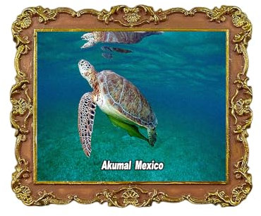 Akumal Strand, Akumal, Mexiko, Kühlschrank-Magnet, 3D-Reise-Souvenir, Kühlschrank-Dekoration, magnetischer Aufkleber, Bastelsammlung