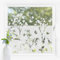 Bilderwelten Fensterfolie Sichtschutz Wildblumen 60 x 200 cm Milchglasfolie Sichtschutzfolie Fenster Folie Blickdicht Anti-UV Statisch Haftend Querformat