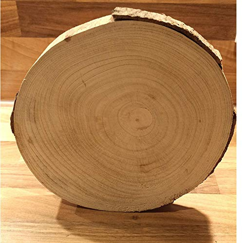 Sternfabrik Holzscheibe aus echtem Holz 20cm Ø ca. 2,5 cm dick Dekoration Tischplatte mit Rinde Couch-Tisch