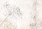 decomonkey Premium Fototapete Natur 350x256 cm XXL Design Tapete Fototapeten Vlies Tapeten Vliestapete Wandtapete moderne Wandbild Wand Wohnzimmer Deko Pflanzen Blumen Steinwand Vintage Retro beige
