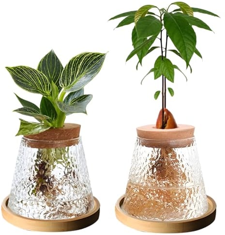 Lot de 2 pots de fleurs en verre transparent avec couvercle en bois et support en bambou pour culture hydroponique à la maison, au bureau (2 marteaux)
