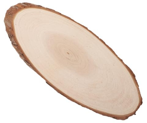 HOMSFOU Unfinished Wood Slices for Crafts Multipurpose Wood Discs for Painting Pyrography and Sign Making Durable Wooden Plates for Rustic Centerpieces and Home Decor