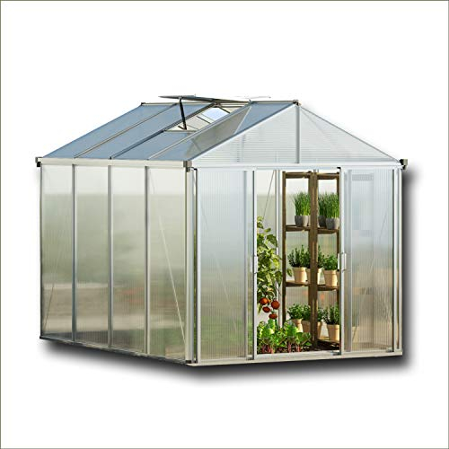 GFP Gewächshaus Titan 21 aus Alu 222x222 cm, Starke 10 mm Doppelstegplatten formstabil und witterungsbeständig