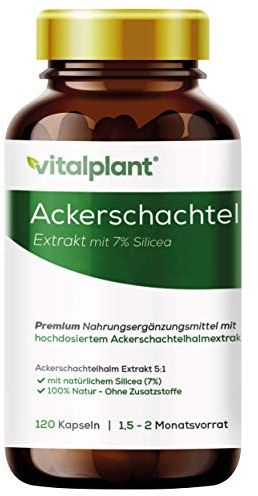 Vitalplant® Ackerschachtelhalm Extrakt 500mg im Braunglas - 120 Kapseln Hochdosiertes Schachtelhalm Extrakt (5:1) mit organischem Silizium - Vegan
