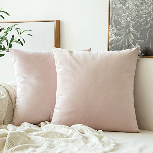 MIULEE 2er Set Samt Zierkissenbezug ohne Füllung-Zierkissenhülle Dekorative Kissenbezug Dekokissen Kissenhülle mit Verstecktem Reißverschluss ROSA 20x20 Zoll 50 x 50 cm