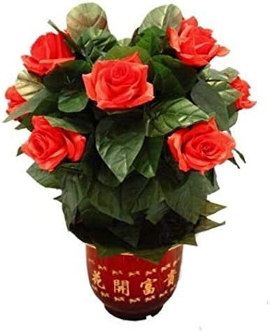 MOMOMAGE Blooming Rose Bush – Fernbedienung (10 Blumen, Batterie-Version) Zaubertricks – Blumen-Erscheinende magische Requisite für Zauberer