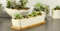 Gift Pro Jardinière rectangulaire en céramique blanche de 28,2 cm de long avec soucoupes en bambou (style 1)
