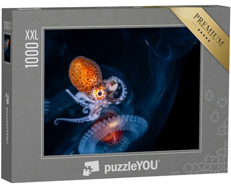 Puzzle 1000 Teile XXL „Larven eines weiblichen Nautilus-Oktopus, Nahaufnahme“ – aus der Puzzle-Kollektion Tintenfische