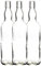 Empty Whiskey Bottle 700ml | Gin Bottle | Vodka Bottle | Glass Bottle for homebrewing | J&b (6)