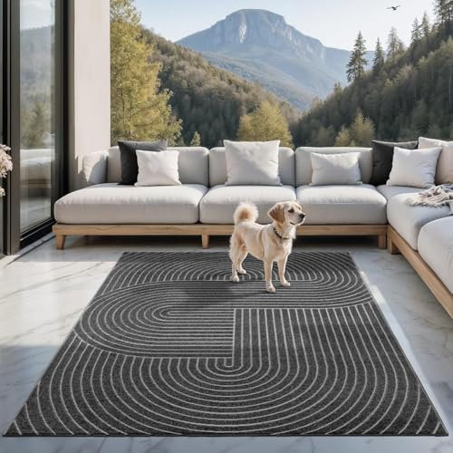 the carpet Santo Plus - Hochwertiger Outdoor Teppich, Passend für Wohnzimmer, Schlafzimmer und terrasse, Wetterfest, langlebig und pflegeleicht, Anthrazit, 240 x 340 cm