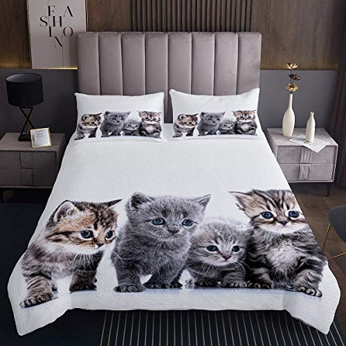 Lindo edredón Acolchado de Gatos Mascotas de Gatito,Juego de Colcha niños niñas,de habitación de niños,de Animales Amantes de los Gatos,Individual Acolchado 1 Funda de Almohada