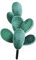 BESPORTBLE Piquets de Jardin Décoratifs pour Cactus d'Extérieur Ornement de Jardin Coloré Décoration Insérée au Sol pour Terrasse et Pelouse aux Intempéries Design Créatif