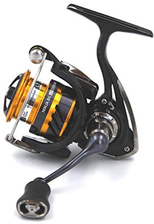 Daiwa 19 Ninja BG LT 2000 XH Rolle